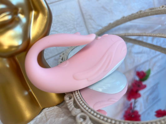 Ballena rosa control app