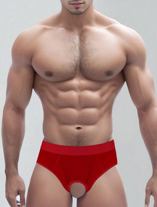Boxer abierto